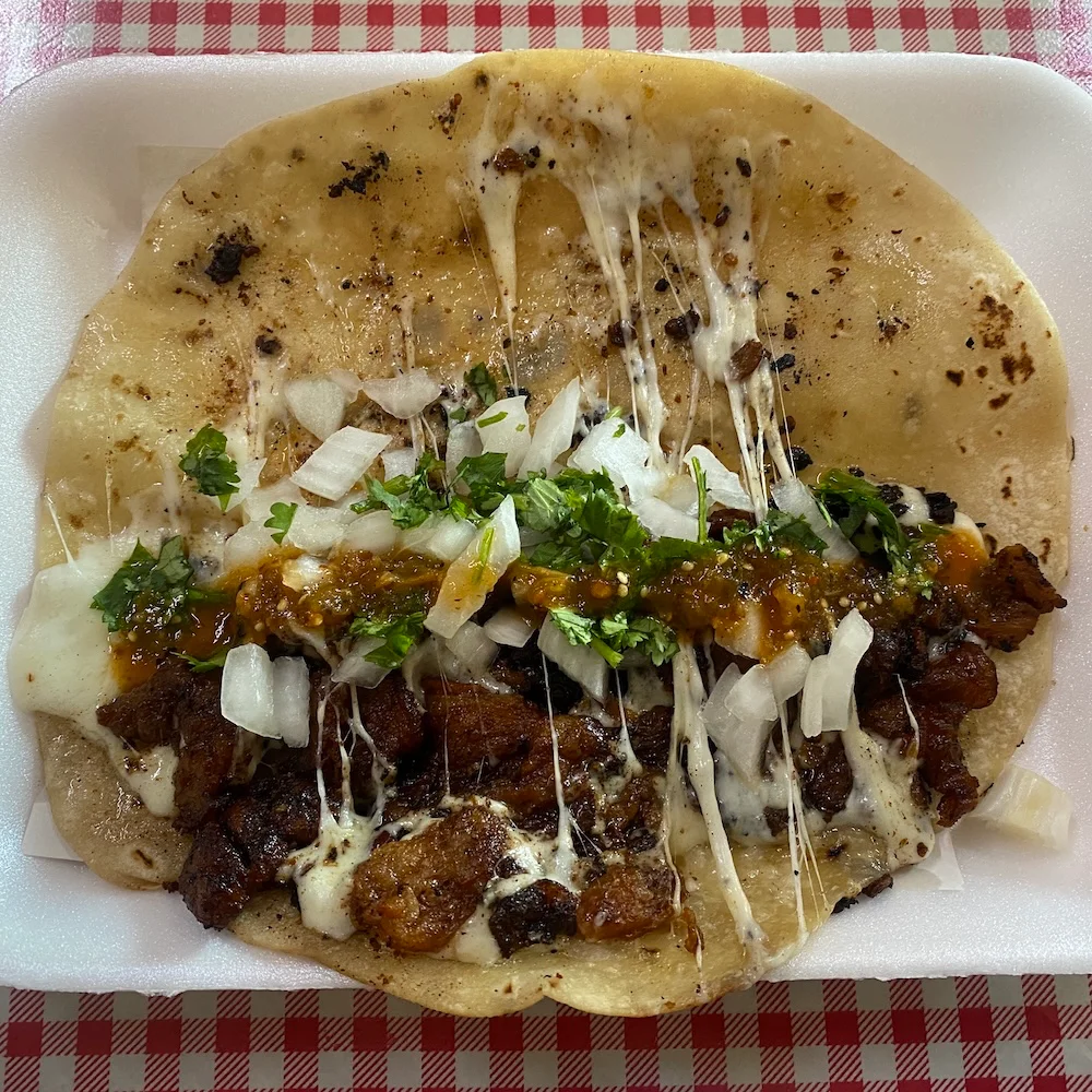 Tacos y Quesadillas