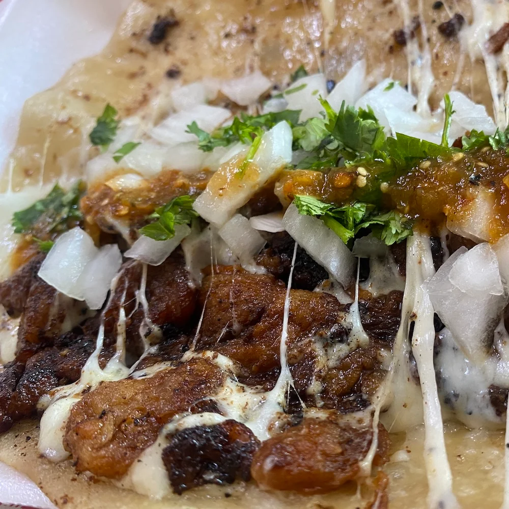 Tacos y Quesadillas 2